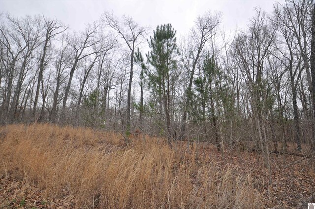 00 Hills Hollow Rd, Murray, KY 42071