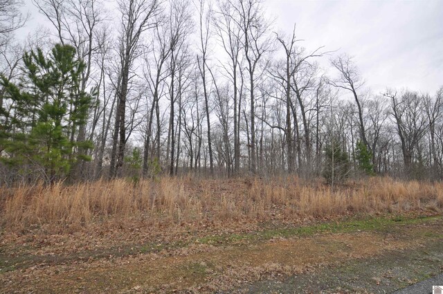 00 Hills Hollow Rd, Murray, KY 42071