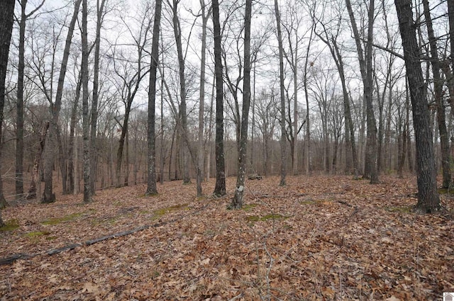 00 Hills Hollow Rd, Murray, KY 42071