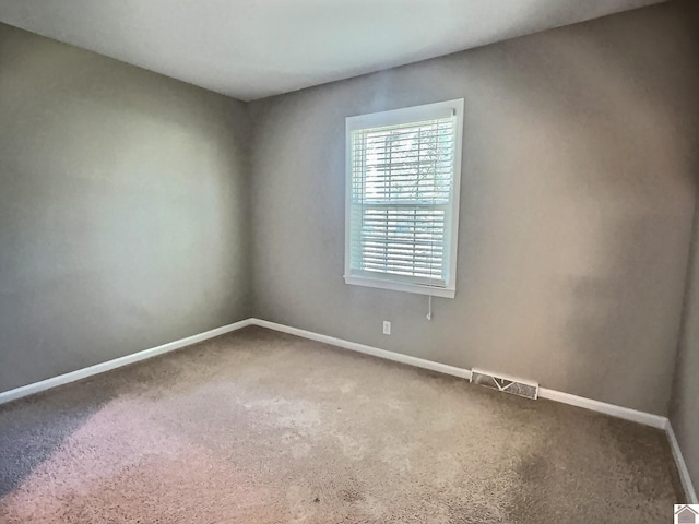 spare room featuring carpet floors