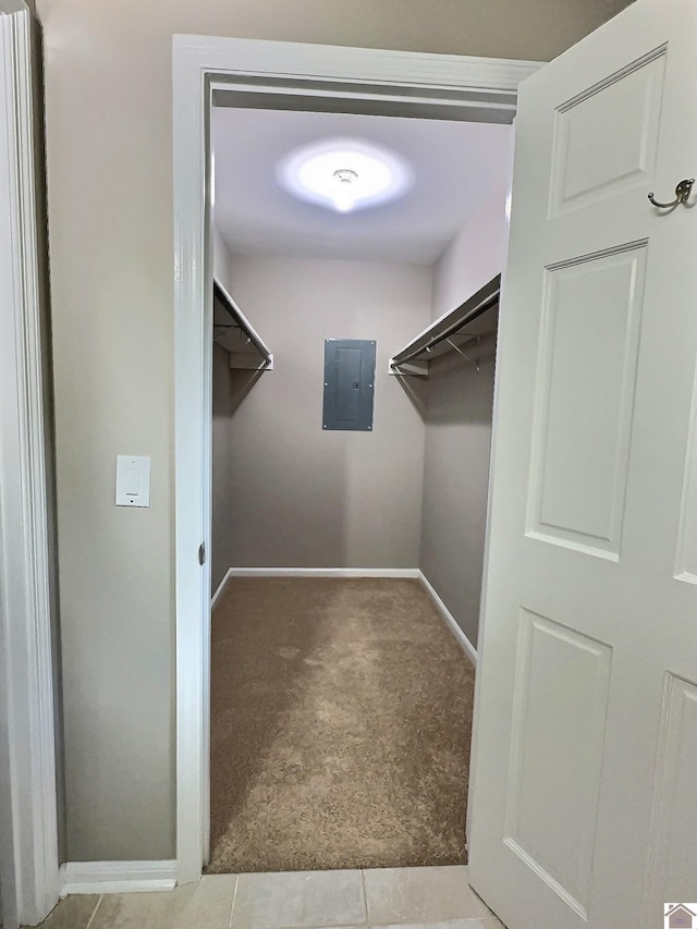 spacious closet featuring electric panel and light carpet