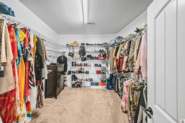 spacious closet featuring carpet flooring