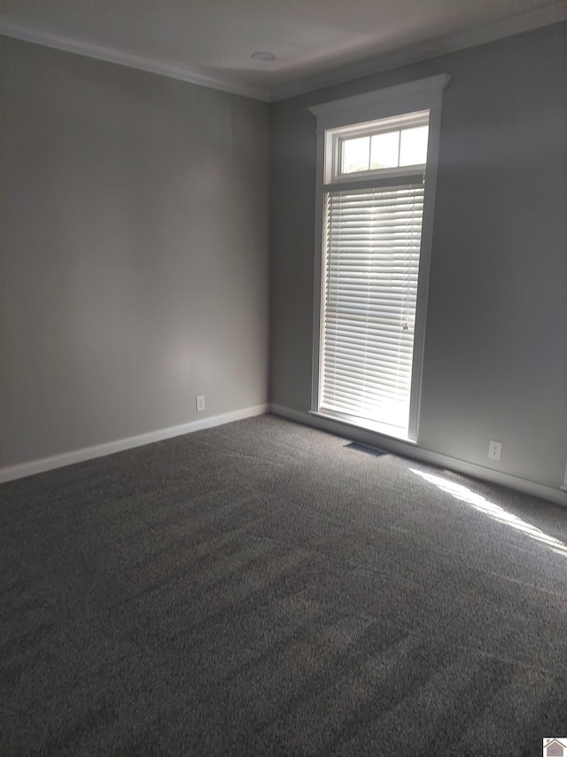 empty room with carpet flooring and ornamental molding