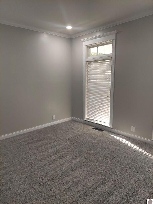 empty room with carpet floors and crown molding