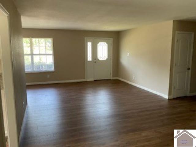 foyer entrance featuring dark hardwood / wood-style flooring