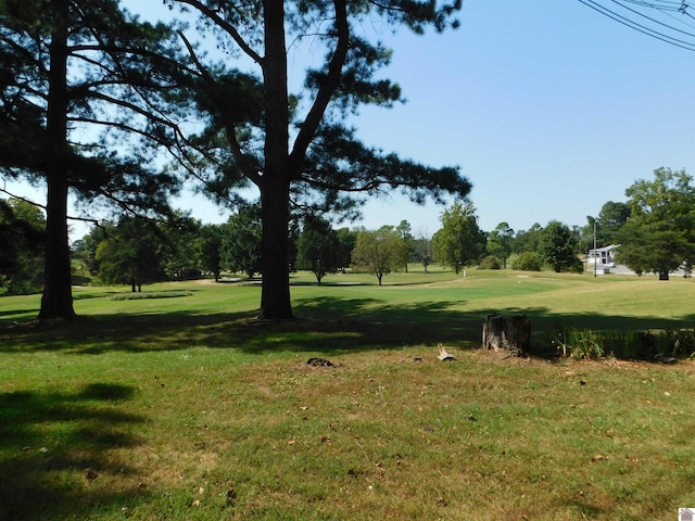 view of home's community featuring a yard