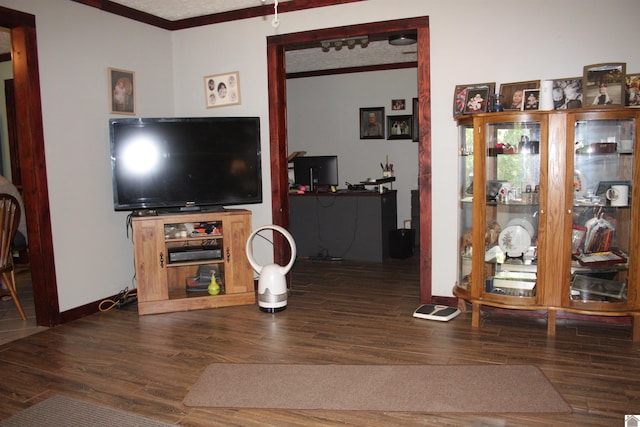 living room featuring crown molding and dark wood-type flooring