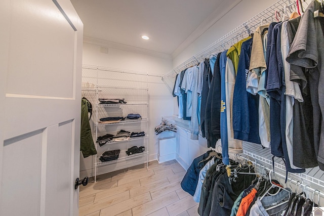 spacious closet featuring wood finished floors