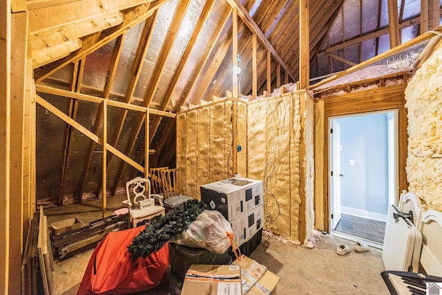 miscellaneous room featuring lofted ceiling