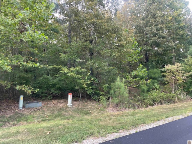 Listing photo 2 for Old Hill Crest Dr, Murray KY 42071