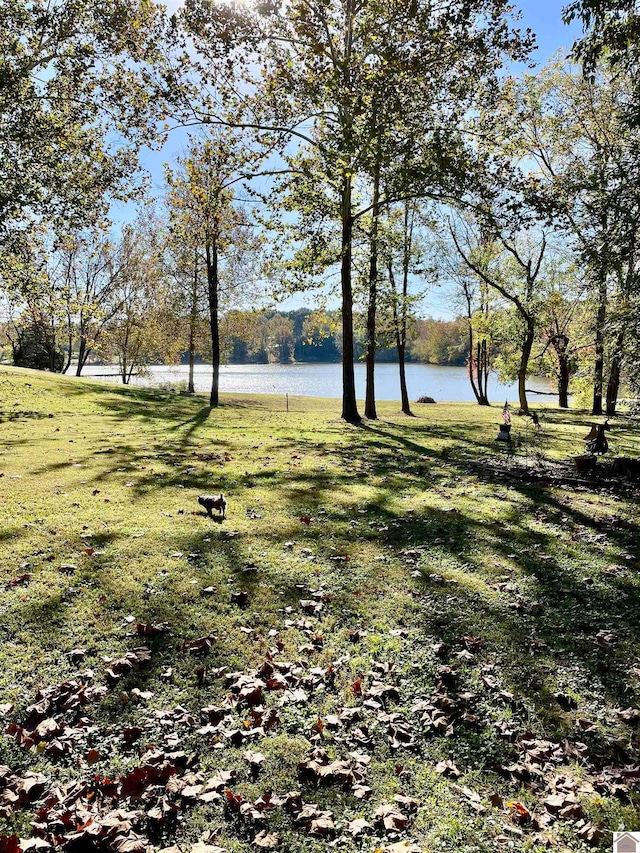 view of yard with a water view