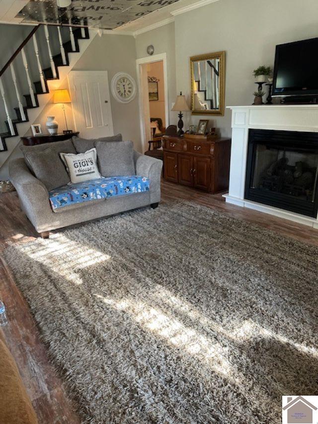 living room featuring ornamental molding and wood-type flooring