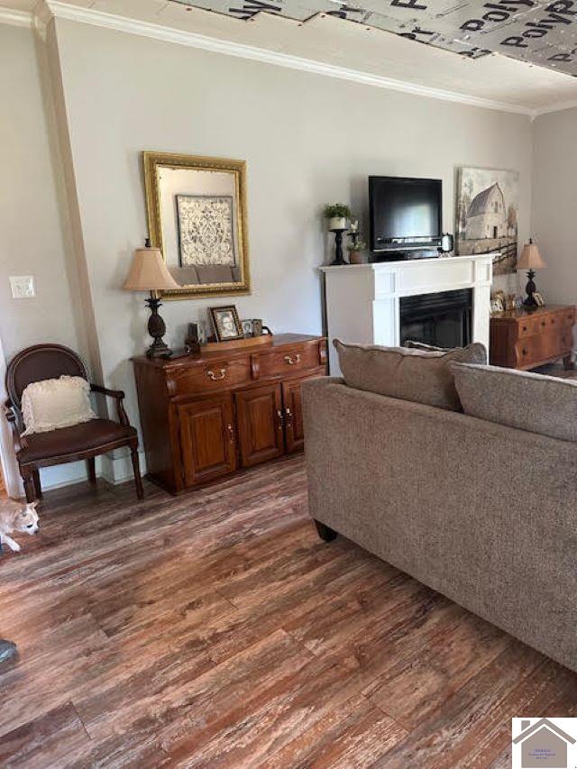 living room with ornamental molding and dark hardwood / wood-style flooring