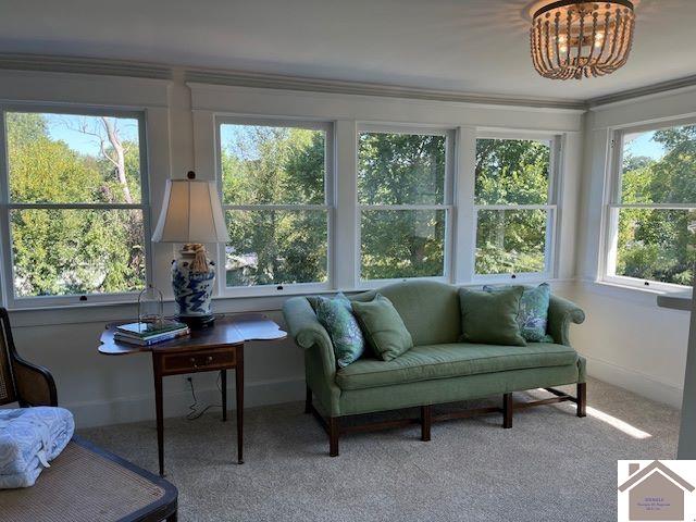 living area with a wealth of natural light and hardwood / wood-style flooring