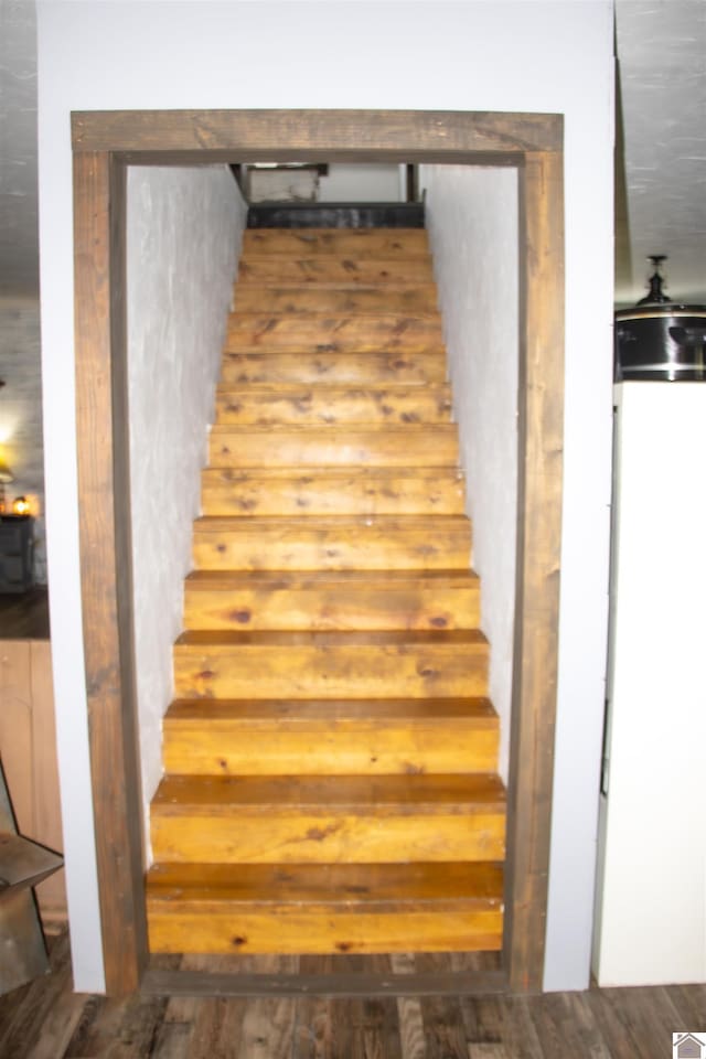 stairway with wood-type flooring