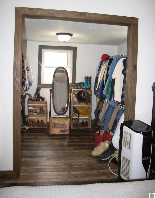 walk in closet featuring hardwood / wood-style flooring