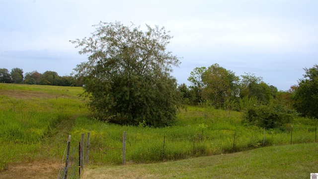 view of local wilderness