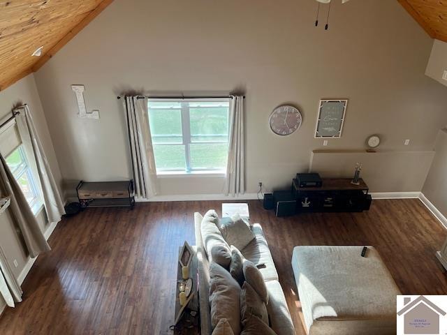 unfurnished living room featuring high vaulted ceiling and dark hardwood / wood-style flooring