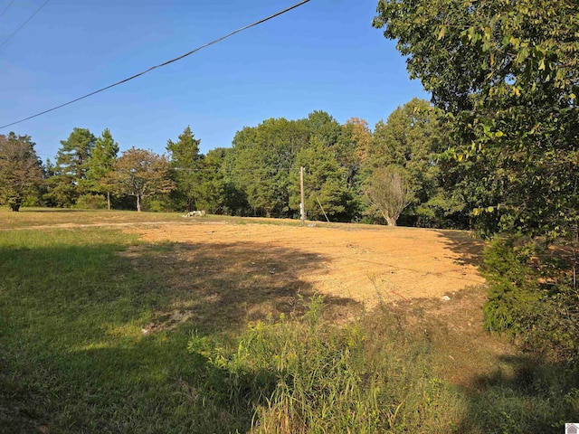 709 Hawkeye Rd, Gilbertsville KY, 42044 land for sale