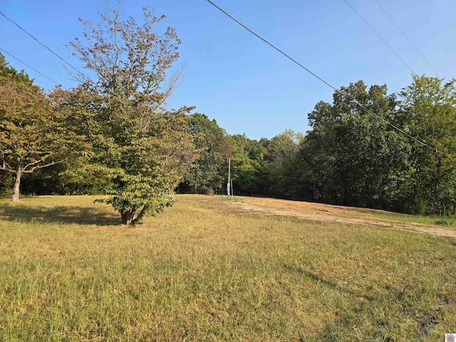 Listing photo 3 for 709 Hawkeye Rd, Gilbertsville KY 42044