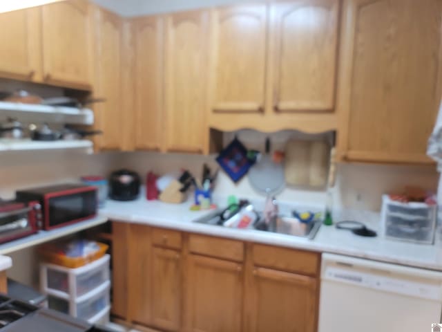 kitchen with dishwasher and sink