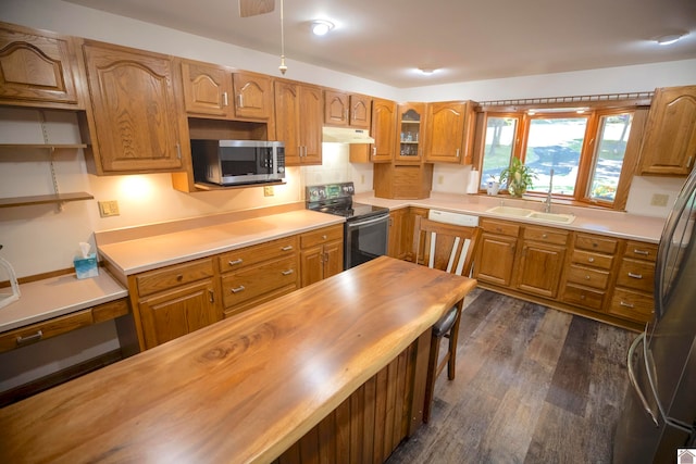 kitchen with dark wood-type flooring, appliances with stainless steel finishes, butcher block countertops, and sink