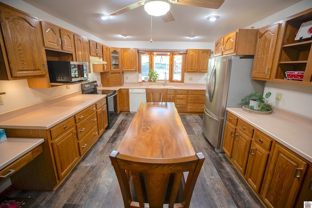 kitchen with ceiling fan, sink, appliances with stainless steel finishes, and dark hardwood / wood-style flooring