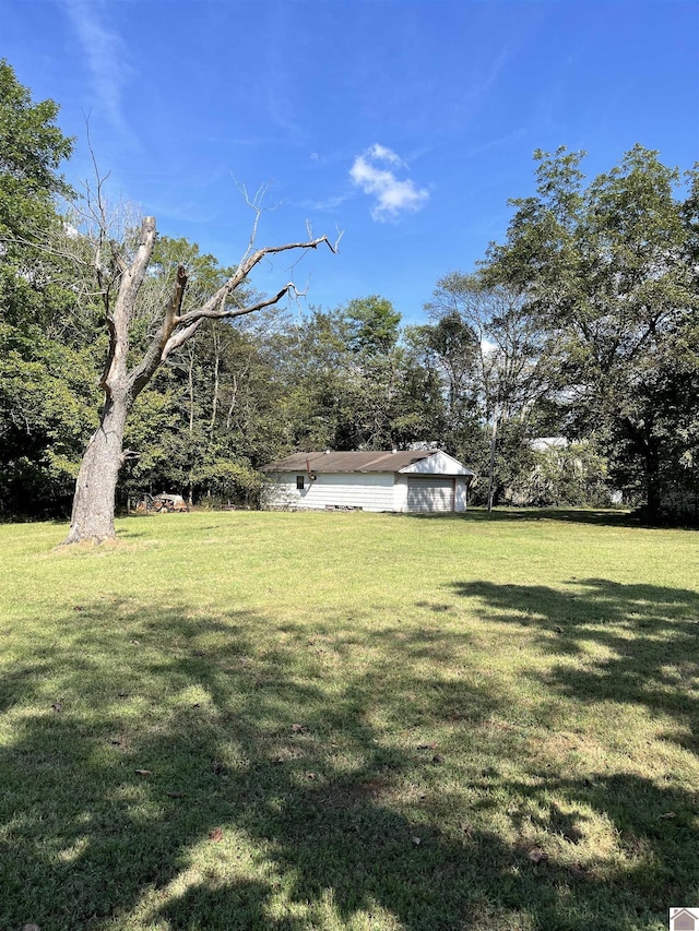 2234 Ted Williams, Paducah, KY 42003 - view of grassy yard