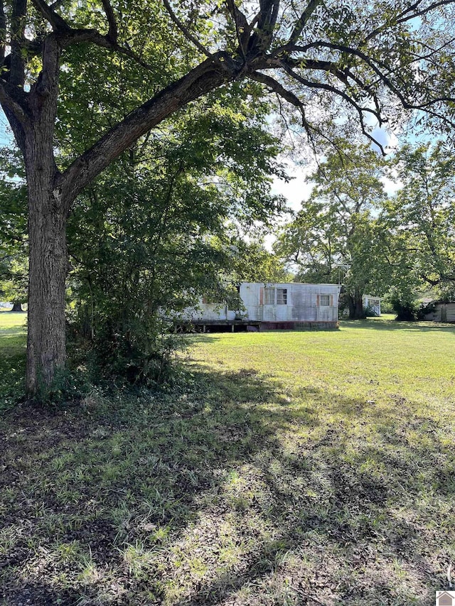 2234 Ted Williams, Paducah, KY 42003 - view of grassy yard