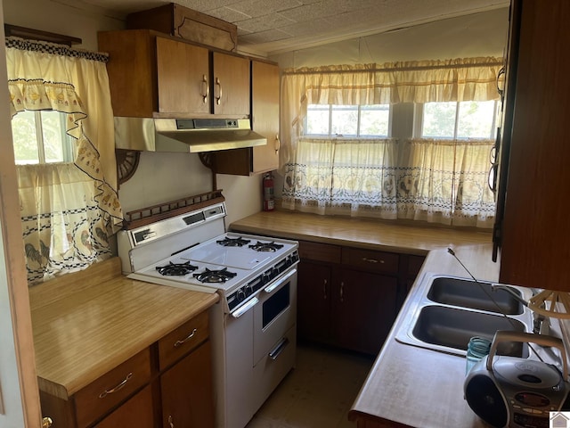 2234 Ted Williams, Paducah, KY 42003 - kitchen with gas range gas stove, under cabinet range hood, light countertops, and a sink