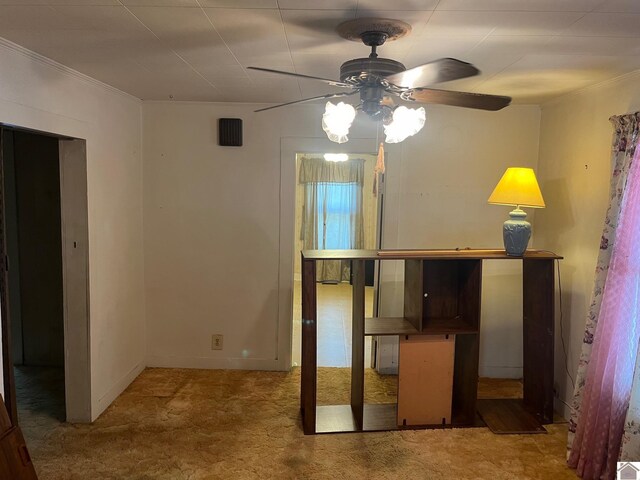 2234 Ted Williams, Paducah, KY 42003 - unfurnished bedroom with ornamental molding and carpet