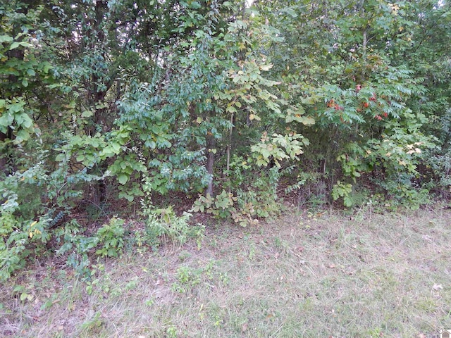 Listing photo 2 for LOT44 Forest Ln, Eddyville KY 42038