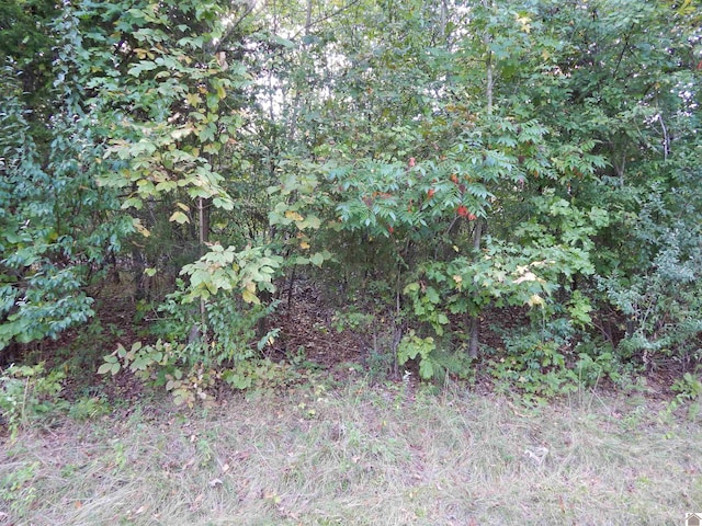 Listing photo 3 for LOT44 Forest Ln, Eddyville KY 42038