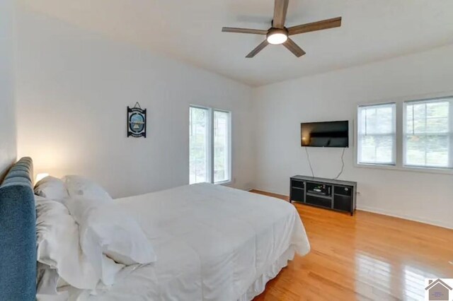 354 Sassafrass Rd, Cadiz, KY 42211 - bedroom with multiple windows, light wood-type flooring, ceiling fan, and baseboards