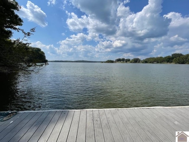 354 Sassafrass Rd, Cadiz, KY 42211 - dock area with a water view