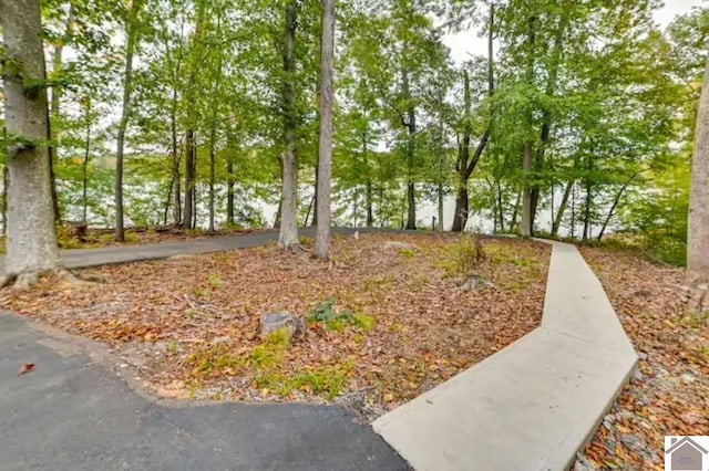 354 Sassafrass Rd, Cadiz, KY 42211 - view of property's community