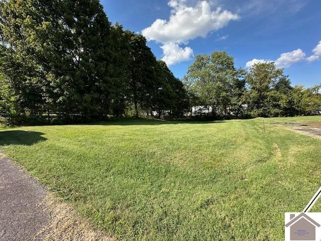 0 Nichols Ln, Marion KY, 42064 land for sale