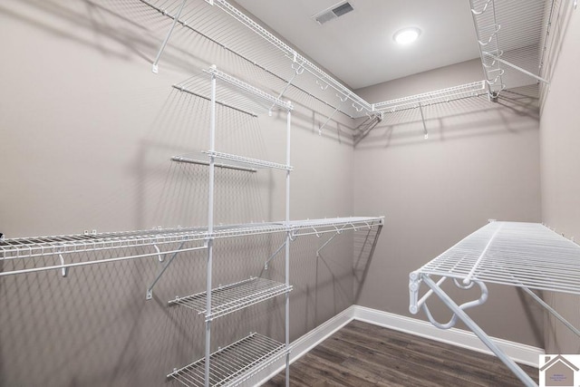 walk in closet with wood-type flooring