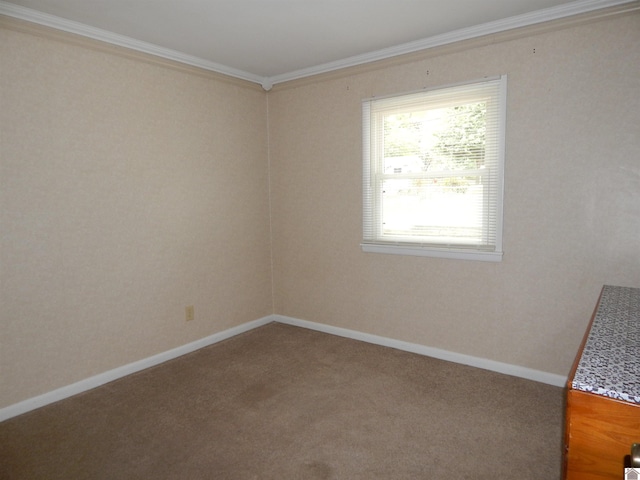 carpeted spare room featuring ornamental molding