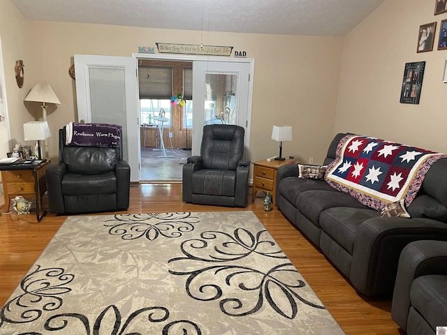 living room with wood-type flooring and french doors