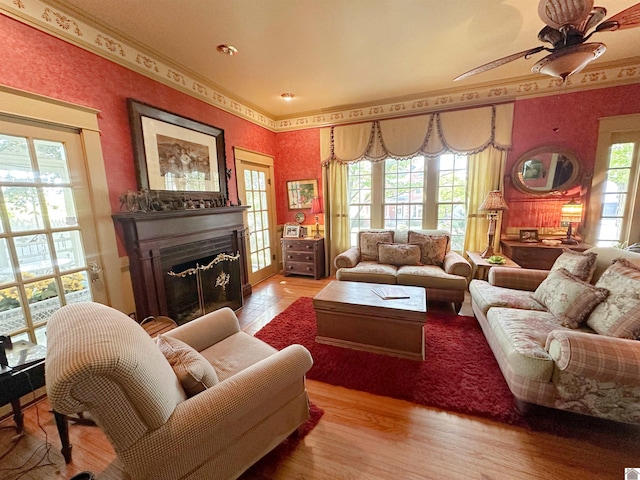 living room featuring ceiling fan, light hardwood / wood-style flooring, and crown molding