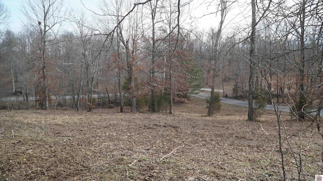 000 Fern Creek Ln, Benton KY, 42025 land for sale