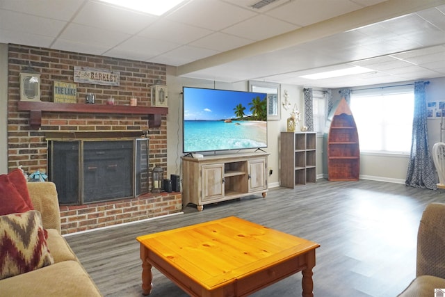 living room with a fireplace, a drop ceiling, and dark hardwood / wood-style flooring