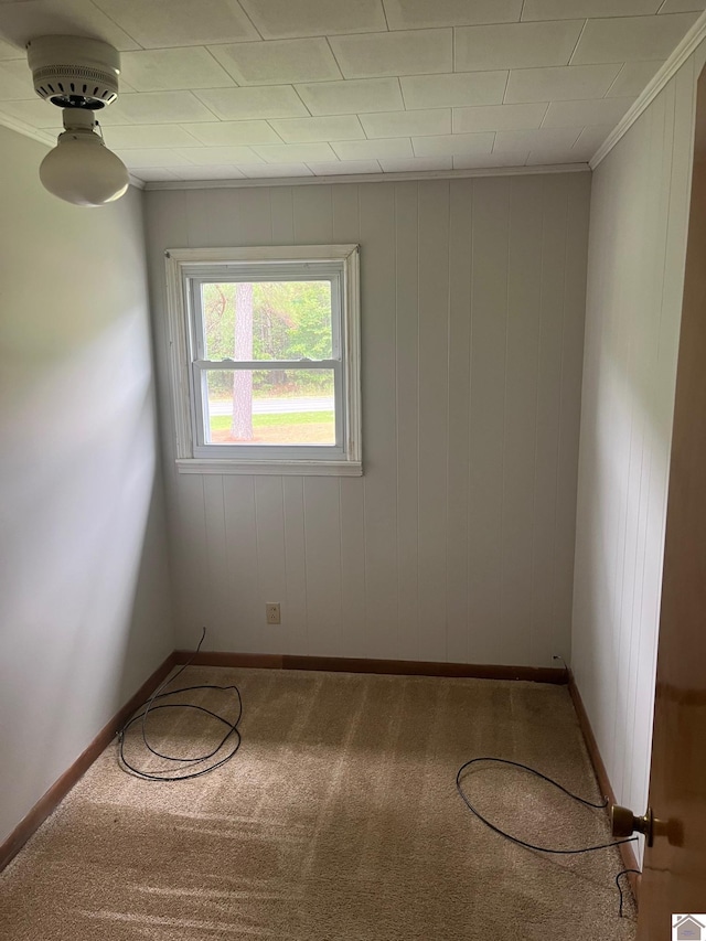 carpeted empty room with wooden walls and crown molding