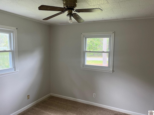 carpeted spare room with ceiling fan and crown molding