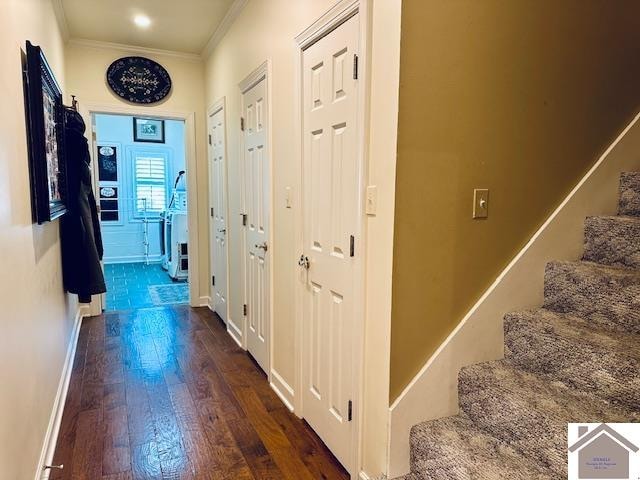 hallway with dark hardwood / wood-style floors and crown molding