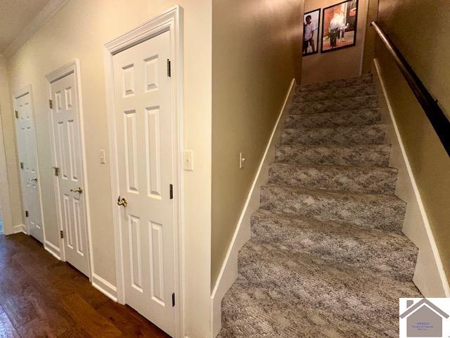 stairway featuring hardwood / wood-style floors