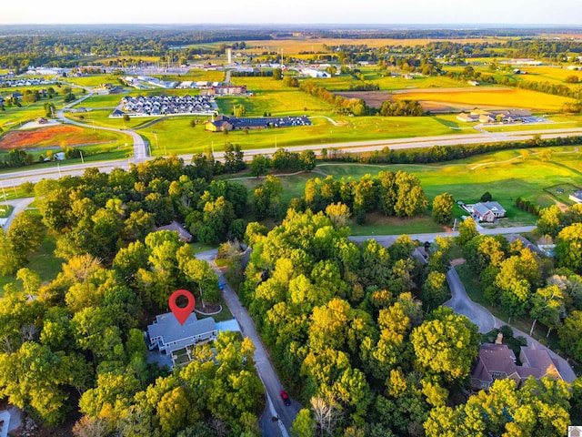 aerial view