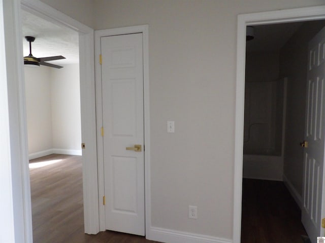 hall with dark hardwood / wood-style flooring