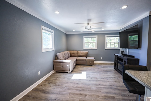 living room with crown molding, ceiling fan, and light hardwood / wood-style flooring